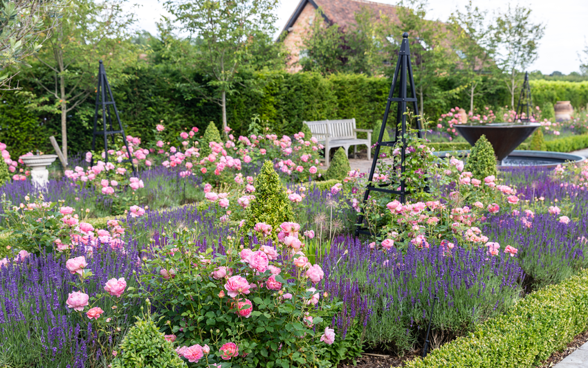 Cottage garden