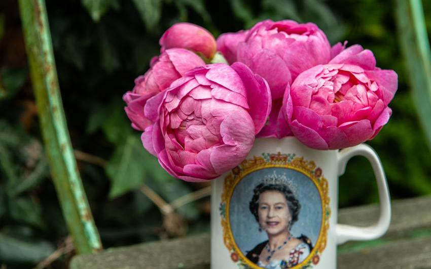 Flowers Fit for a King: Celebrating King Charles III Birthday with Royal-Inspired Roses