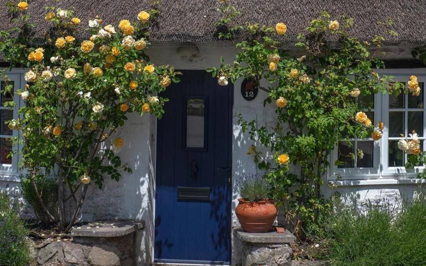 A floral facade