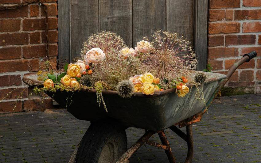 Garden Trends for Autumn